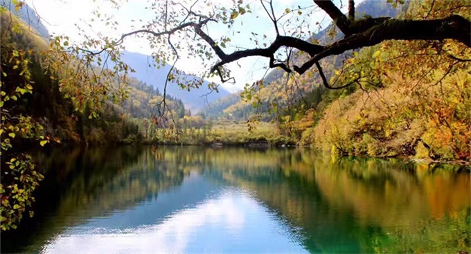 首页|尊龙人生就是博官网入口