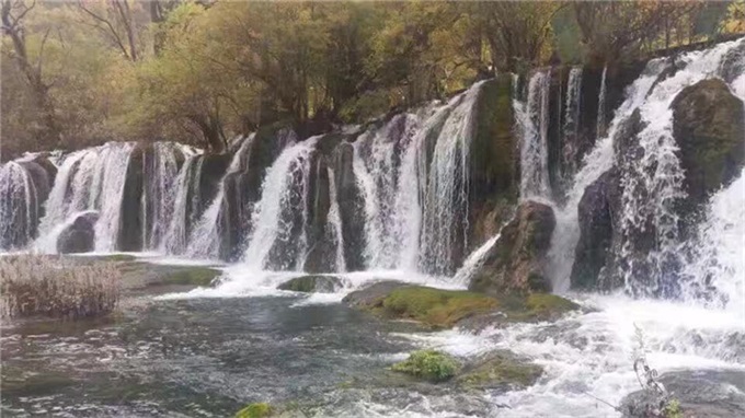 首页|尊龙人生就是博官网入口